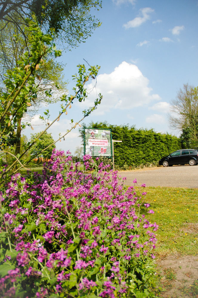 Bed & Breakfast De Kreitsberg Duifhuis Esterno foto